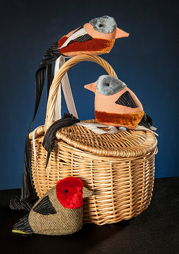 Storytelling birds and basket